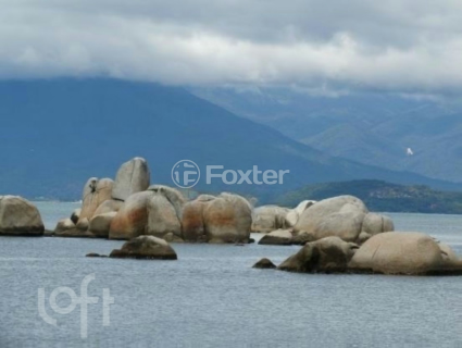 Image 9 - 995106
