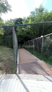 Image 5 - 995619