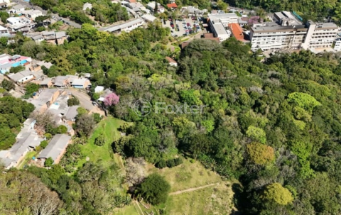 Image 7 - 995733