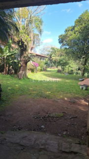 Image 3 - 995733