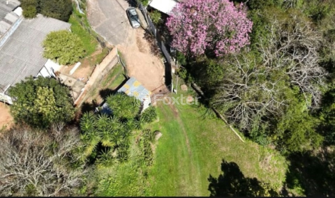 Image 11 - 995733