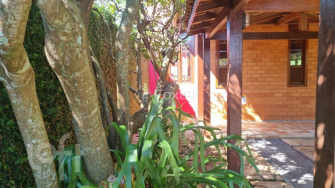 Image 3 - 995870