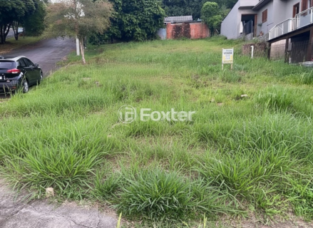 Image 3 - 996129