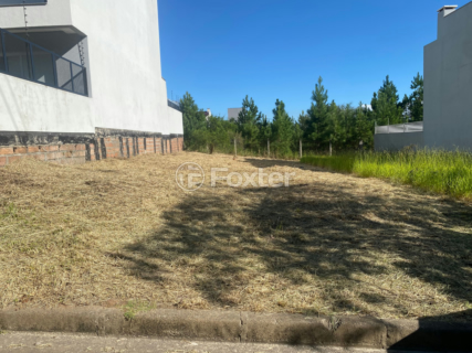 Image 8 - 996220