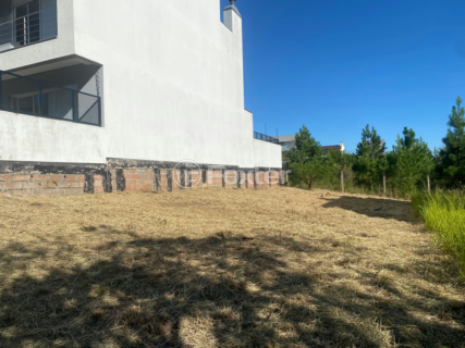 Image 7 - 996220