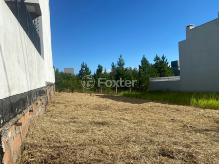 Image 6 - 996220