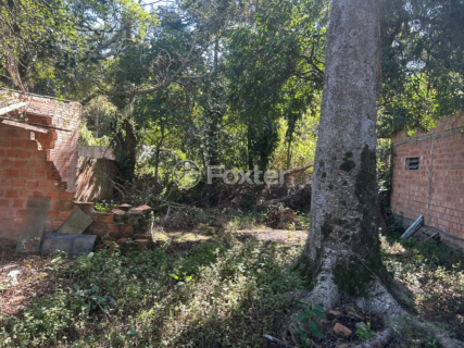 Image 4 - 996263