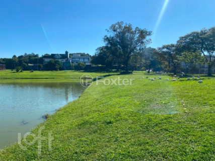 Image 33 - 996415