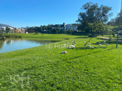 Image 35 - 996415