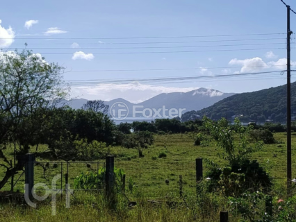 Image 33 - 996482