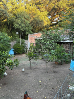 Image 8 - 996779