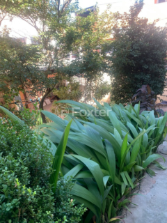 Image 8 - 996972