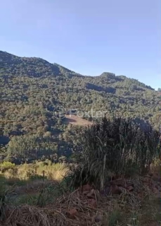 Image 3 - 997423