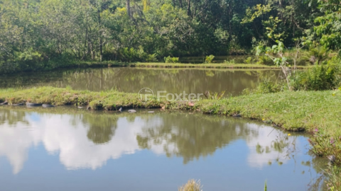 Image 4 - 997542