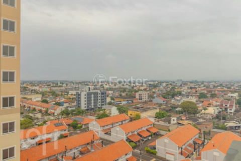 Image 7 - 997594