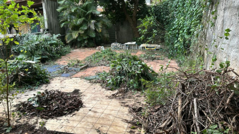 Image 7 - 997607