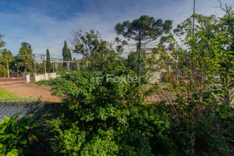 Image 3 - 997799