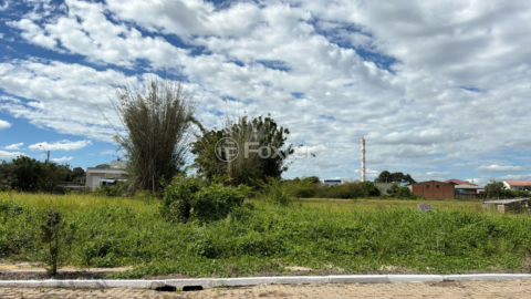Image 3 - 998019