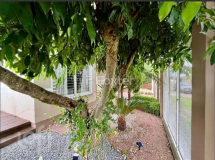 Image 7 - 998294