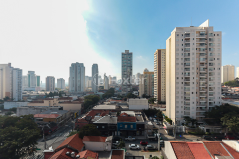 Image 19 - 998483