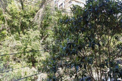 Image 27 - 998531