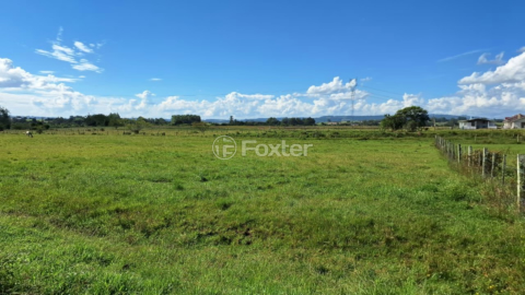 Image 17 - 998693
