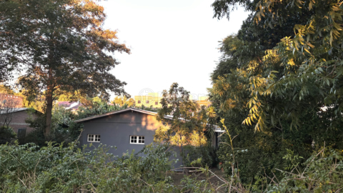 Image 30 - 998782