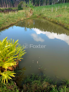 Image 4 - 999066