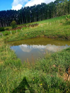 Image 5 - 999066