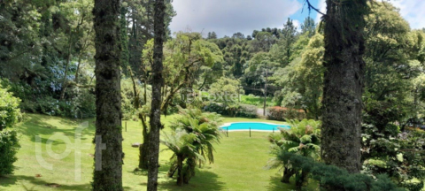 Image 8 - 999742