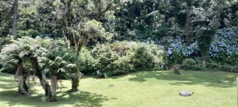 Image 25 - 999742
