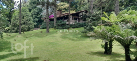 Image 4 - 999742