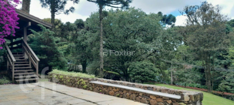 Image 11 - 999742