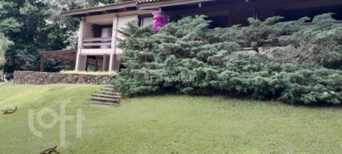 Image 10 - 999742