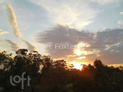Image 10 - 999782
