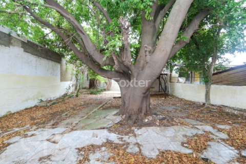 Image 17 - 999812
