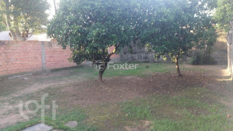 Image 8 - 999952