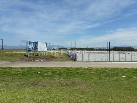 Image 8 - 10885