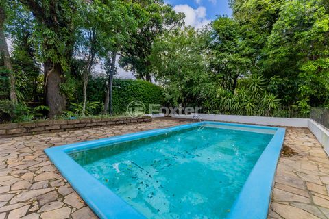 Image 11 - 295155