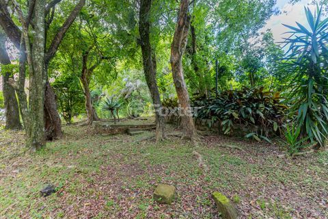 Image 15 - 295155