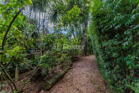 Image 16 - 295155
