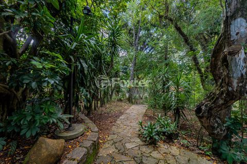 Image 17 - 295155