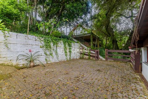 Image 66 - 100528