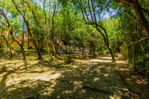 Image 46 - 378657