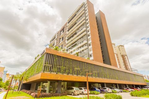 Image 65 - 982552