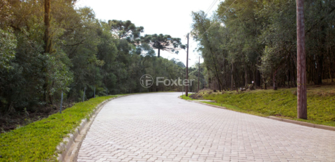 Image 9 - 1015895