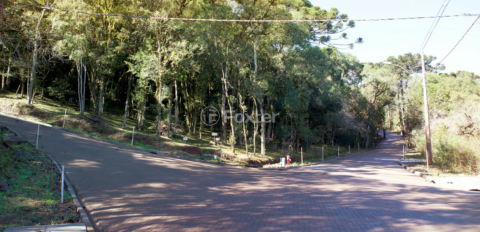 Image 7 - 1015895