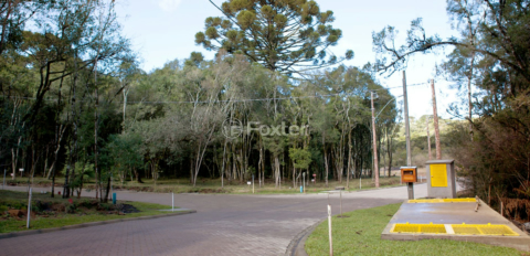 Image 4 - 1015895