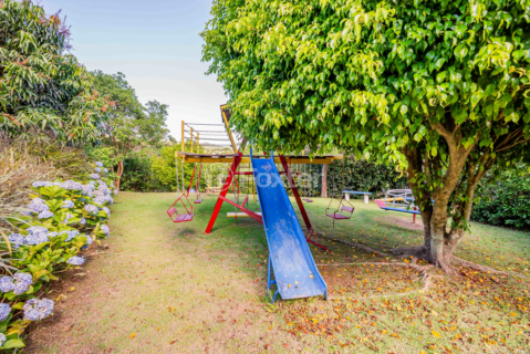 Image 76 - 958918