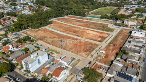Image 22 - 213616